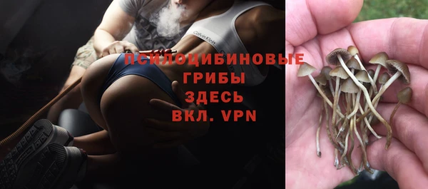 ешки Зеленокумск